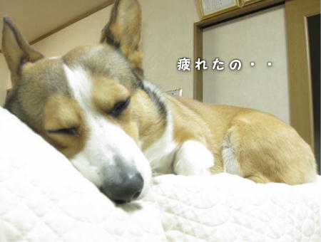 IMG112102.JPG