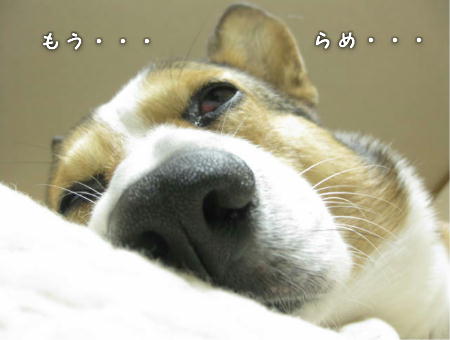 IMG112103.JPG