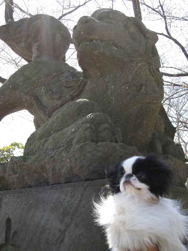 狛犬2.jpg