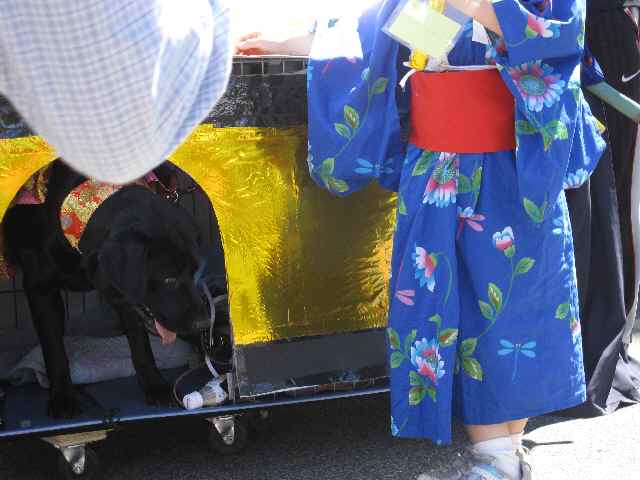 犬2.jpg