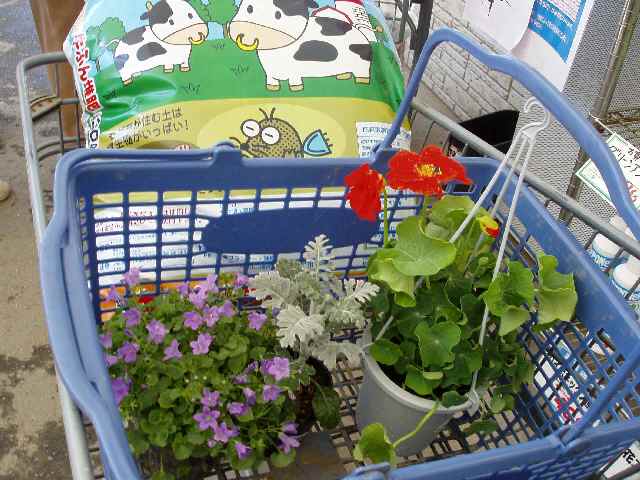 花買出し.jpg