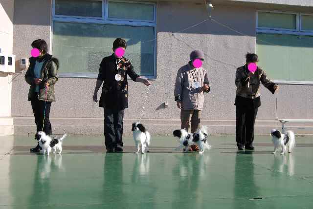 狆2.jpg