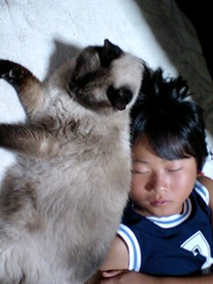 一緒にうたた寝♪