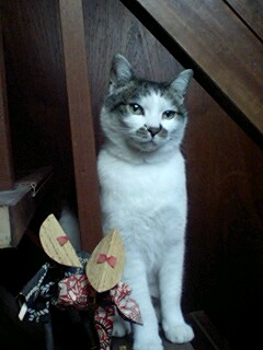 とりあえず視線をそらし・・・