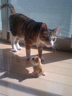 おかあさぁん、キモ～イ！！