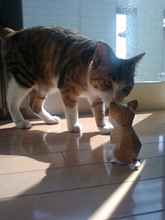 にゃににゃにこの子