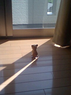 ポツン・・・・・