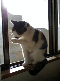 ちょっとお腹が・・・