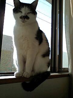 お母さんのお腹も。。。☆