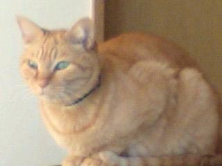 良い場所取ったな～