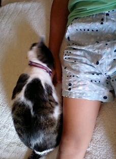 う～、気づいてよぉ。