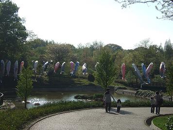 DSCF0815.JPG