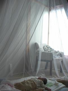 2009-07-31 004.JPG