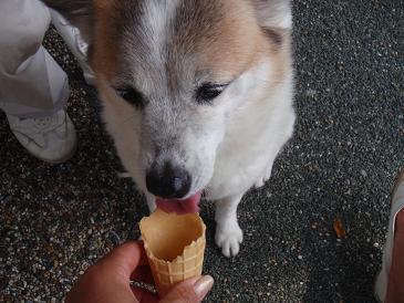 ２３日え.jpg
