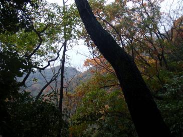 金華山.jpg