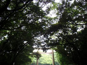 熱田の杜２.jpg