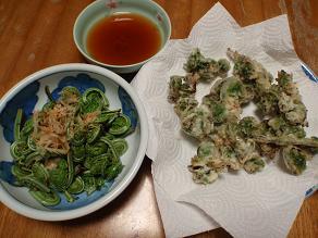 おひたしとてんぷら.jpg