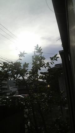 太陽のひかり.jpg