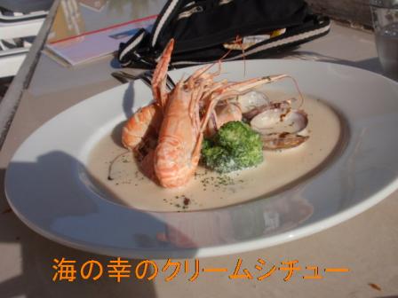 シチュー.jpg