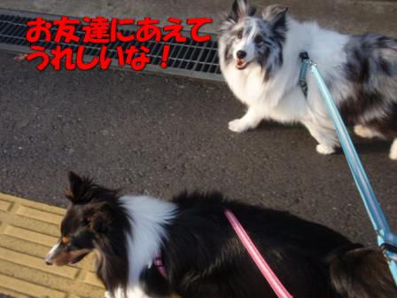 うれしい.jpg
