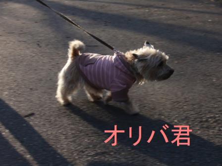 オリバクン.jpg