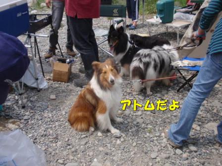 あとむクン.jpg
