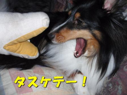 タスケテ.jpg