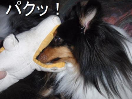 パクッ.jpg