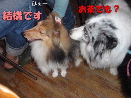 あきり　ふられる.jpg