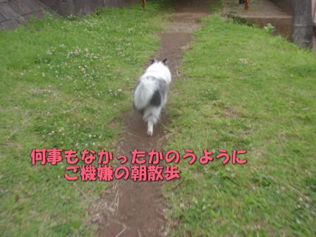 ご機嫌あきり.jpg