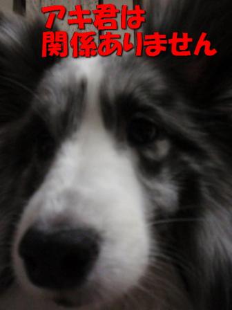 関係ない.jpg
