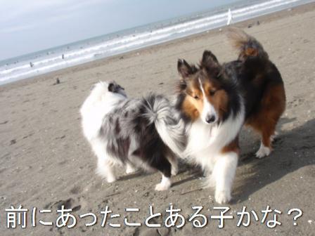 こんにちわ.jpg