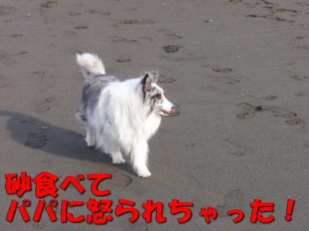 砂食べた.jpg