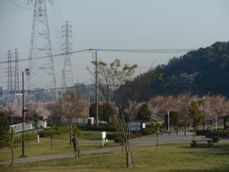 親水公園２.jpg