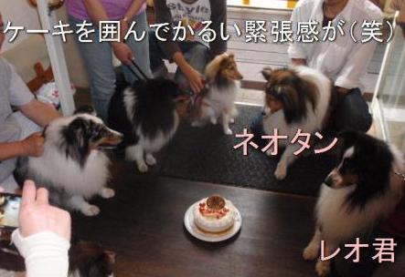 ケーキを囲んで.jpg