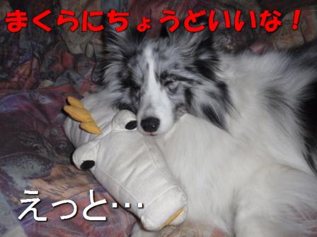 まくら.jpg