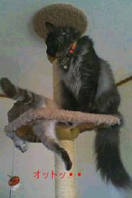 (^O^)／何がしたいんだよ　Ｊ×２