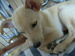 ナダちゃん大丈夫よ