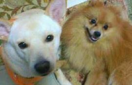 ベル、ナダのカメラ目線