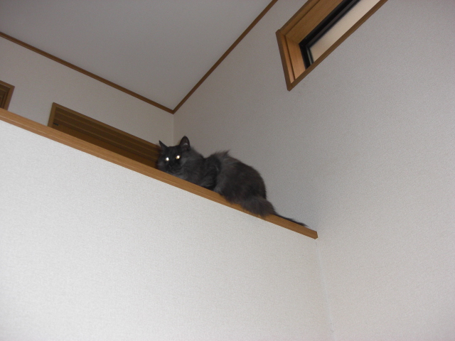 吹き抜けが好き