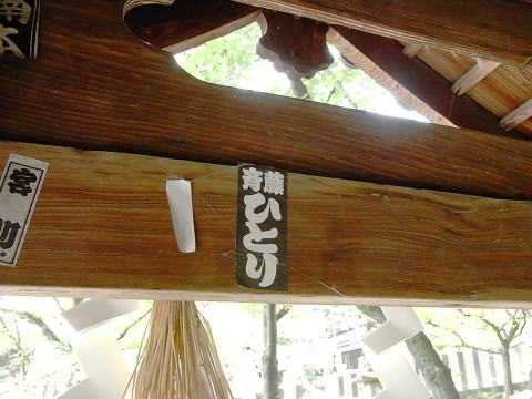 6-9.jpg