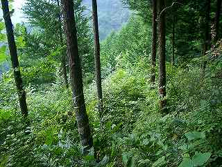 秋山二十六夜山