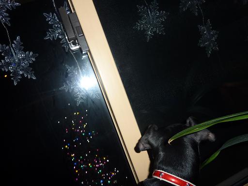 TREE2.JPG