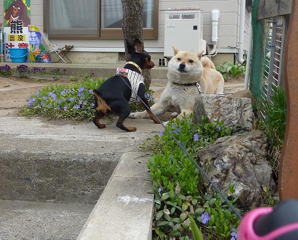 otomodachi2.JPG