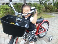 ５日自転車に乗る１歳児.jpg