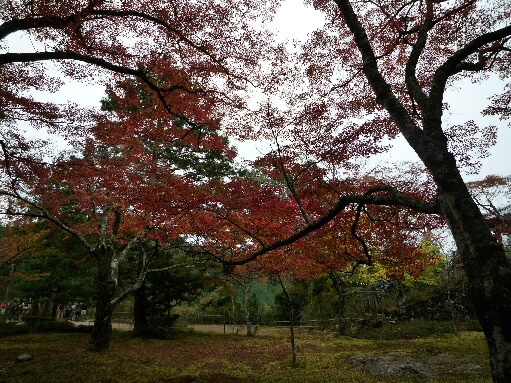 神護寺3.jpg