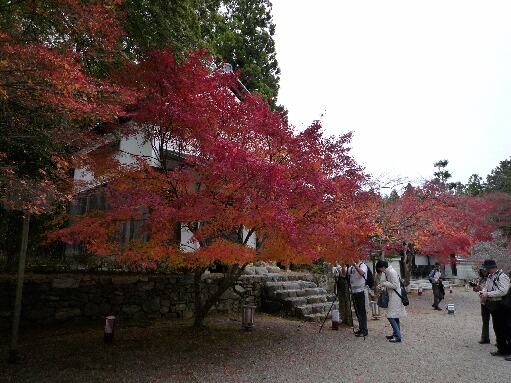 神護寺2.jpg