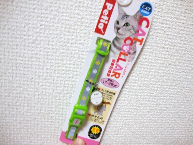 DSC04687.JPG
