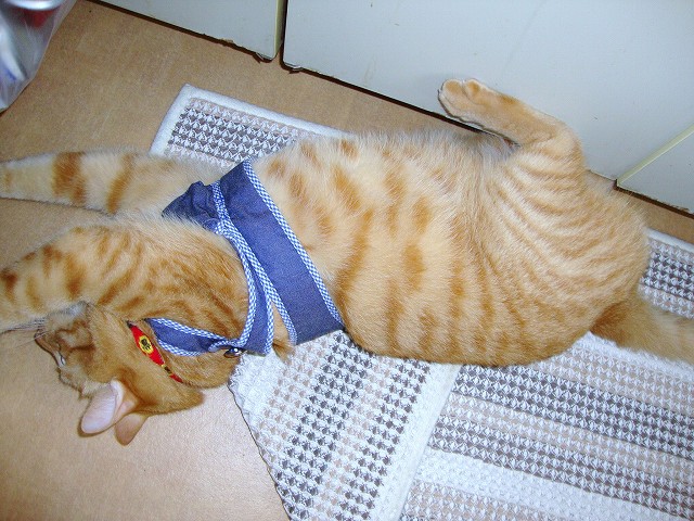 s-DSC05804.jpg