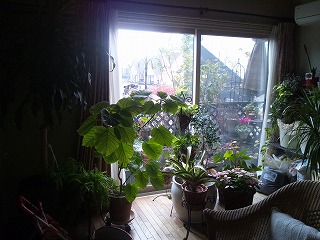 DSC_0176.jpg